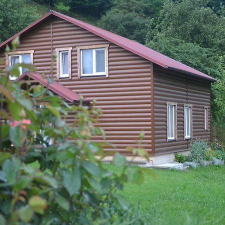 Pid Lisochkom Verkhovyna Esterno foto