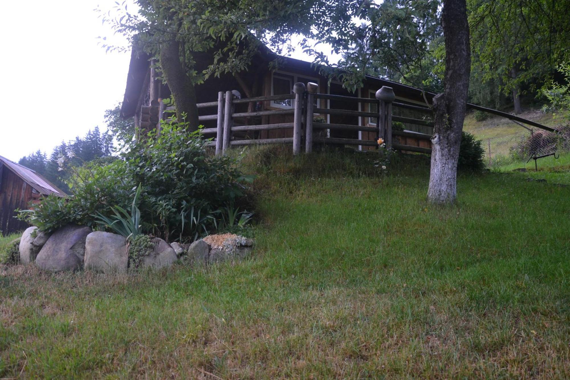 Pid Lisochkom Verkhovyna Esterno foto