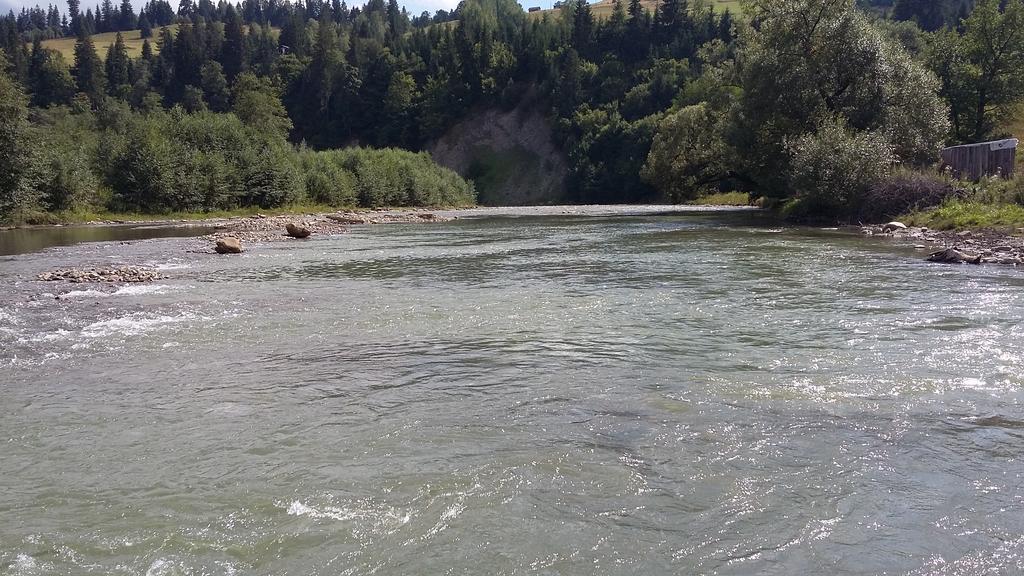 Pid Lisochkom Verkhovyna Esterno foto
